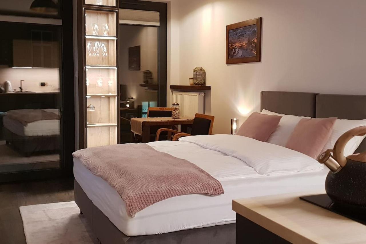 Boutique 108 - Old City, Luxury Apt. With A Garage クラクフ エクステリア 写真
